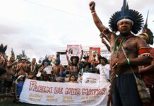 COP30: Capitalismo verde e a ficção do Acordo de Paris