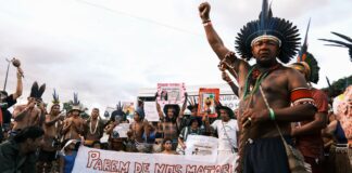 COP30: Capitalismo verde e a ficção do Acordo de Paris