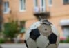 A Copa do Mundo da desigualdade