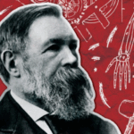 Carta de Engels a Lavrov: Sobre o conceito de “luta pela existência”