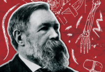Carta de Engels a Lavrov: Sobre o conceito de “luta pela existência”