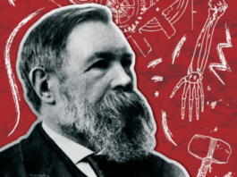 Carta de Engels a Lavrov: Sobre o conceito de “luta pela existência”