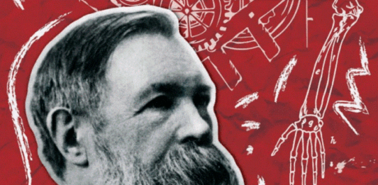 Carta de Engels a Lavrov: Sobre o conceito de “luta pela existência” Image