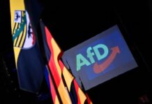 A Alemanha nunca se livrou dos nazistas, e a AfD é sua última expressão